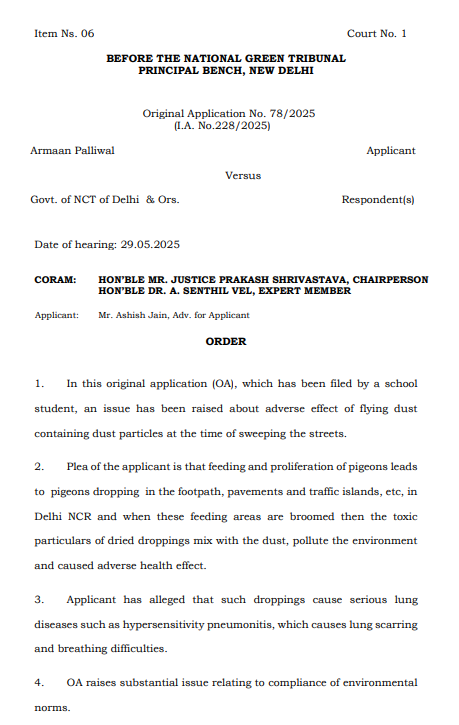 NGT Issues Notice to Delhi Govt on Pigeon Dropping Hazards NGT Issues Notice to Delhi Govt on Pigeon Dropping Hazards
