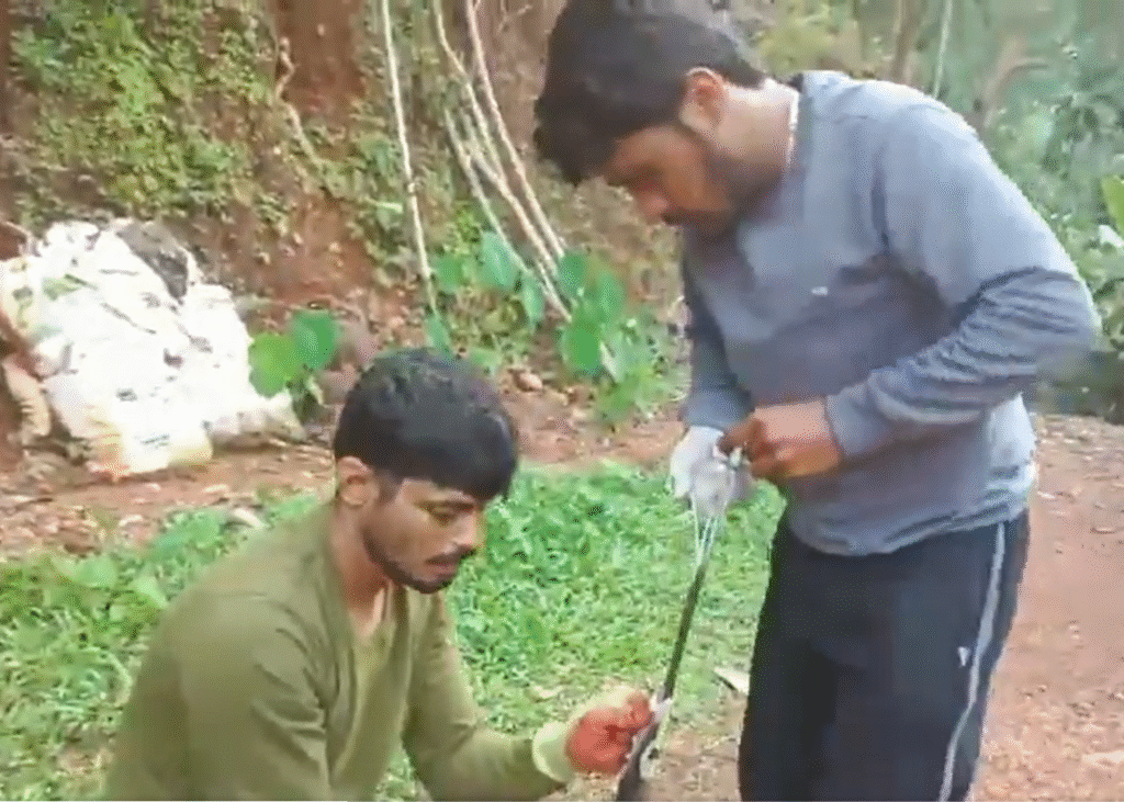 Karnataka | A Serpent's Sharp Mistake: Cobra Ingests Knife in Bizarre Incident A Serpent's Sharp Mistake: Cobra Ingests Knife in Bizarre Incident