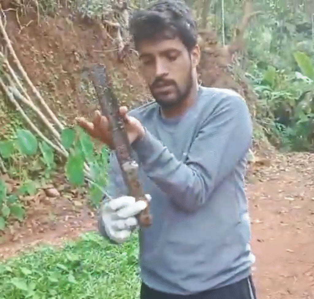 Karnataka | A Serpent's Sharp Mistake: Cobra Ingests Knife in Bizarre Incident A Serpent's Sharp Mistake: Cobra Ingests Knife in Bizarre Incident