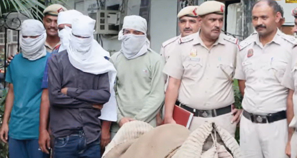 Delhi Police Busts Liquor Smuggling Racket Using Camels, Five Arrested with 42 Cartons of Illegal Alcohol from Faridabad to Neb Sarai Delhi Police Busts Liquor Smuggling Racket Using Camels, Five Arrested with 42 Cartons of Illegal Alcohol from Faridabad to Neb Sarai
