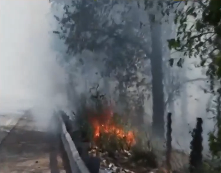 Massive Fire Near Rajghat Sparks Panic: Blaze Erupts in Yamuna Bank Forest Area, 6 Fire Tenders Deployed