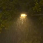 Light Rain, Drizzle Likely Across Delhi-NCR; Thunderstorms and Gusty Winds Expected in Nearby Regions