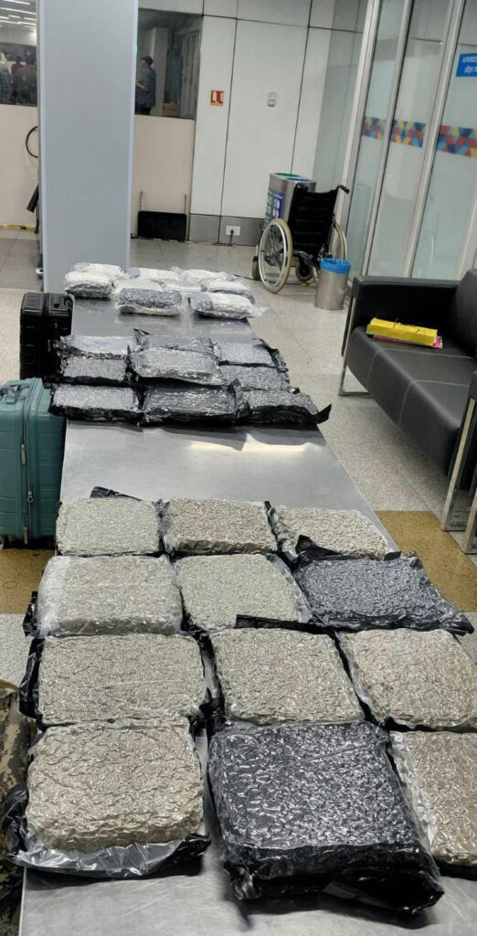 Customs Seizes 34.9 Kg Hydroponic Marijuana Worth ₹34.9 Crore at Delhi IGI Airport; Two Arrested