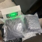 Delhi Customs Seizes 17.7 Kg Hydroponic Weed at IGI Airport; Smuggling Bid Linked to Bangkok Flight