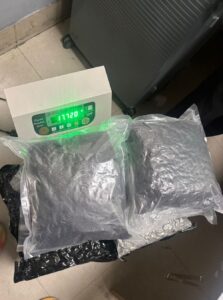 Delhi Customs Seizes 17.7 Kg Hydroponic Weed at IGI Airport; Smuggling Bid Linked to Bangkok Flight